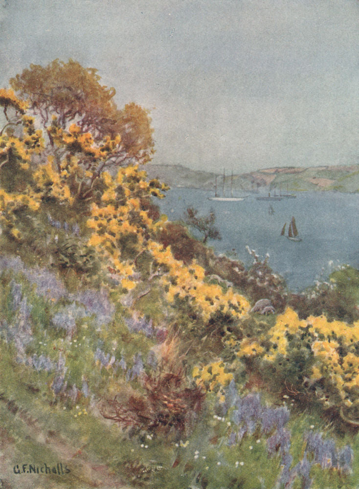 FALMOUTH. The banks of the Fal. Sailing ships. Cornwall. By GF Nicholls 1915